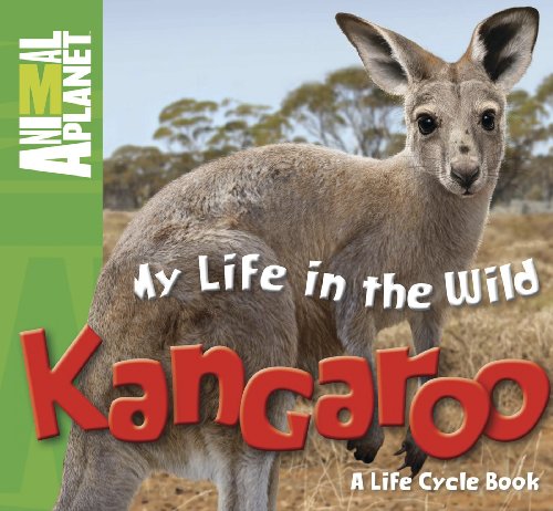My Life in the Wild: Kangaroo (Animal Planet) (9780753468173) by Whitfield, Phil; Animal Planet