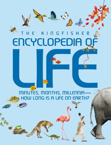 Stock image for Kingfisher Encyclopedia of Life : Minutes, Months, Millennia-How Long Is a Life on Earth? for sale by Better World Books