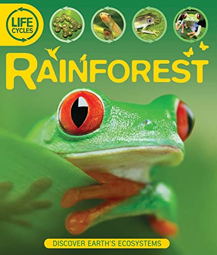 Beispielbild fr Life Cycles: Rainforest zum Verkauf von Better World Books