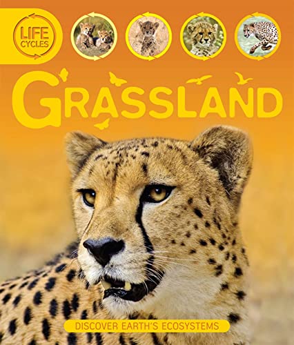 Imagen de archivo de Life Cycles: Grassland a la venta por Better World Books