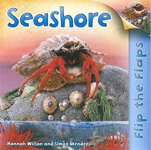 Stock image for Flip the Flaps: Seashore for sale by Better World Books