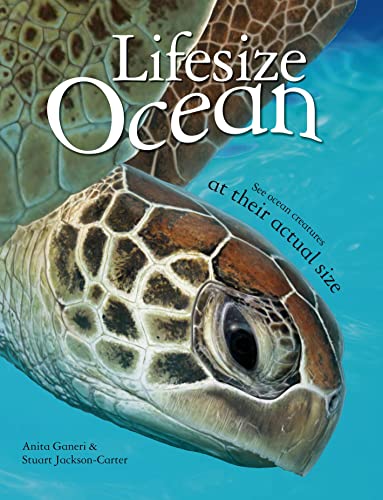 Stock image for Lifesize: Ocean for sale by Better World Books