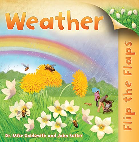 Stock image for Flip The Flaps: Weather for sale by Half Price Books Inc.