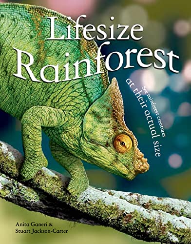 Stock image for Lifesize: Rainforest : See Rainforest Creatures at Their Actual Size for sale by Better World Books