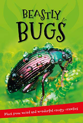 Beispielbild fr It's All About . . . Beastly Bugs: Everything you want to know about minibeasts in one amazing book zum Verkauf von Wonder Book