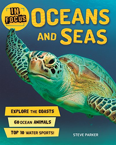 Stock image for In Focus: Oceans and Seas for sale by Better World Books