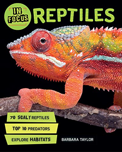 Imagen de archivo de In Focus: Reptiles a la venta por HPB-Movies