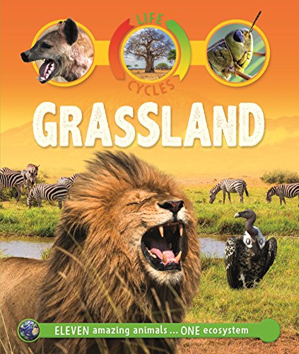 9780753473801: Grassland (Life Cycles)