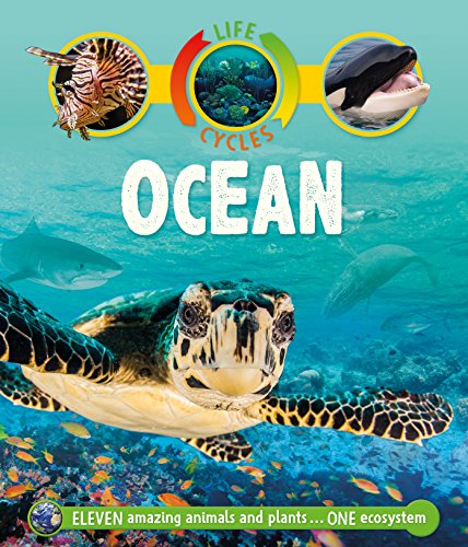 Beispielbild fr Life Cycles: Ocean zum Verkauf von Goodwill Books