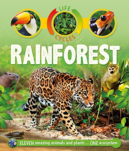 Beispielbild fr Life Cycles: Rainforest zum Verkauf von HPB-Movies