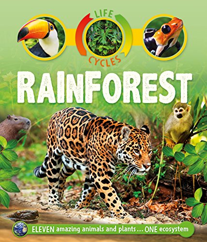 9780753474013: Life Cycles: Rainforest