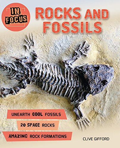 Beispielbild fr In Focus: Rocks and Fossils zum Verkauf von Better World Books