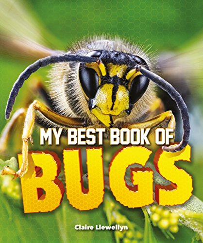 9780753474600: My Best Book of Bugs (The Best Book of)
