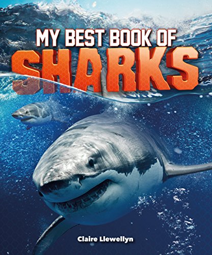 Stock image for My Best Book of Sharks for sale by Better World Books