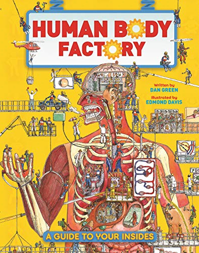 9780753476758: Human Body Factory: The Nuts and Bolts of Your Insides!
