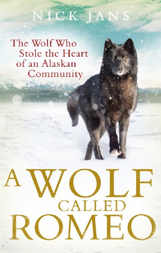 Beispielbild fr A Wolf Called Romeo zum Verkauf von WorldofBooks