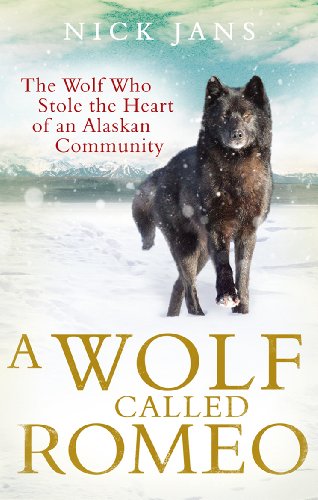Imagen de archivo de A Wolf Called Romeo a la venta por WorldofBooks