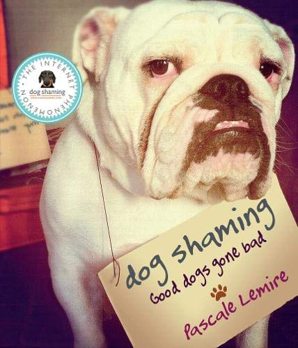 Stock image for Dog Shaming for sale by WorldofBooks