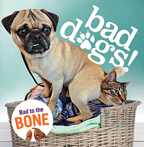 Beispielbild fr Bad Dogs zum Verkauf von WorldofBooks