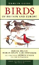 Imagen de archivo de Gp Ham Gde Birds Brit Eur Pb a la venta por Reuseabook