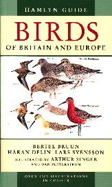 Stock image for Gp Ham Gde Birds Brit Eur Pb for sale by Half Price Books Inc.