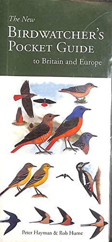 Imagen de archivo de Birdwatcher a la venta por WorldofBooks