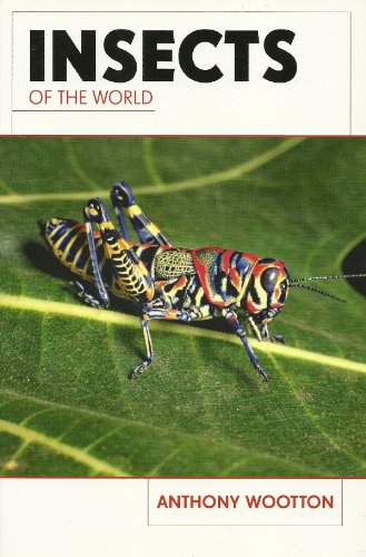 9780753718216: Insects of the World