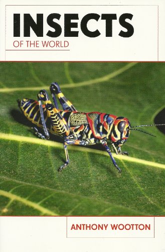 Stock image for Insects of the World for sale by WorldofBooks