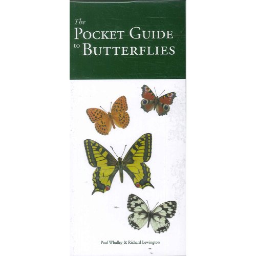 Imagen de archivo de The Pocket Guide to Butterflies a la venta por WorldofBooks