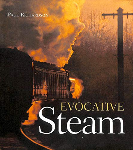 Beispielbild fr Evocative Steam zum Verkauf von AwesomeBooks