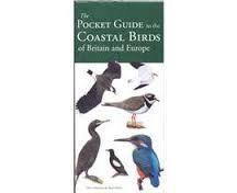 Beispielbild fr The Pocket Guide to the Coastal Birds zum Verkauf von WorldofBooks