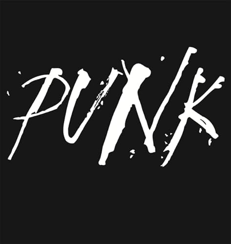 Stock image for Punk for sale by MusicMagpie