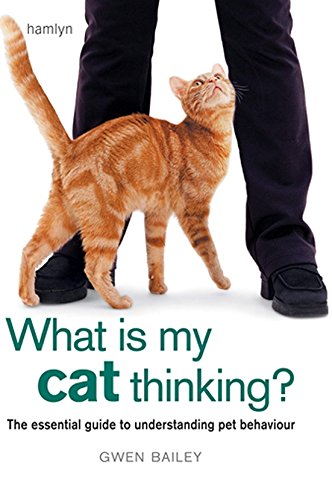 Beispielbild fr What is my Cat Thinking?: The essential guide to understanding your pet zum Verkauf von WorldofBooks