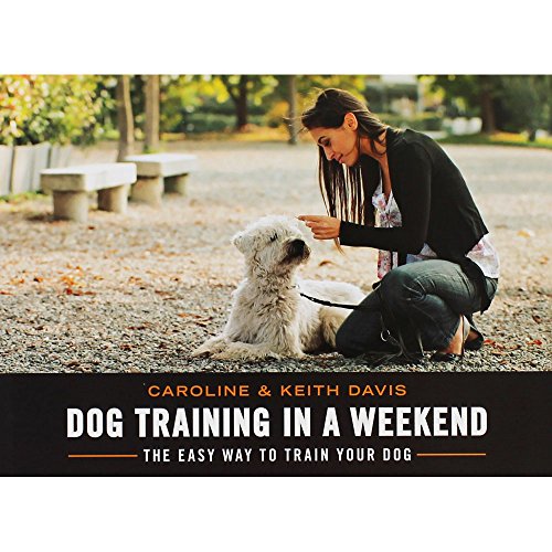 Imagen de archivo de Dog Training in a Weekend: The easy way to train your dog a la venta por AwesomeBooks