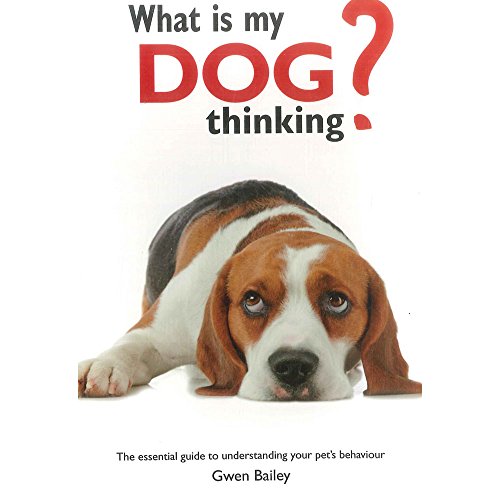 Imagen de archivo de What Is My Dog Thinking? a la venta por WorldofBooks