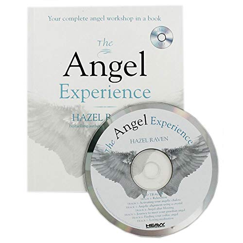 Beispielbild fr The Angel Experience: Your complete angel workshop in a book zum Verkauf von WorldofBooks