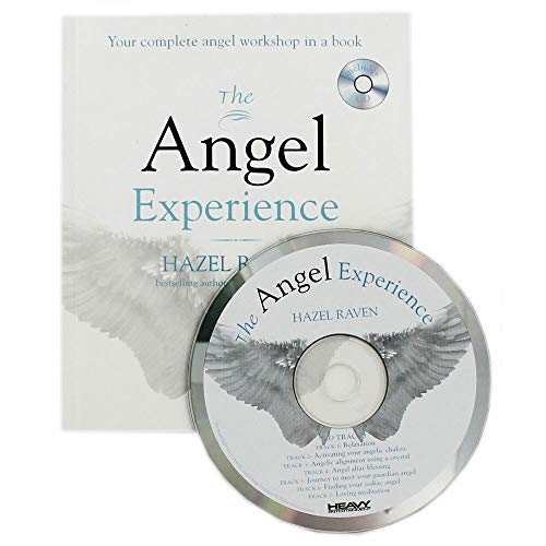 Stock image for The Angel Experience: Your complete angel workshop in a book for sale by Goldstone Books