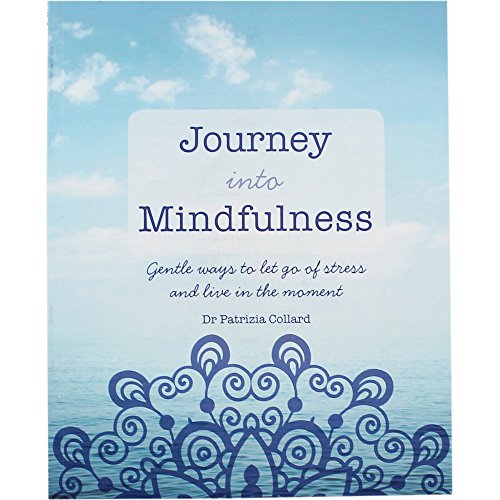 Imagen de archivo de Journey into Mindfulness: Gentle Ways to Let Go of Stress and Live in the Moment a la venta por SecondSale