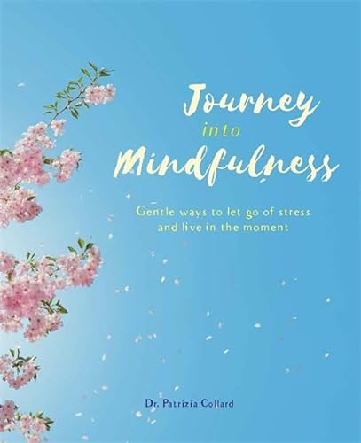 Beispielbild fr Journey into Mindfulness: Gentle ways to let go of stress and live in the moment zum Verkauf von Jenson Books Inc