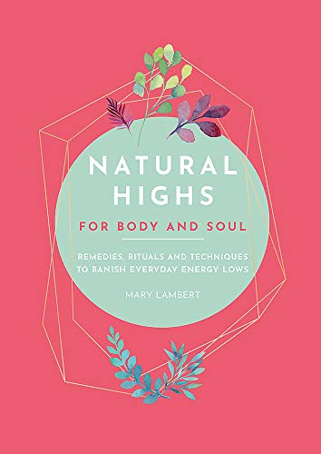 Beispielbild fr Natural Highs: 70 Instant Energizers for Body and Soul zum Verkauf von Jenson Books Inc