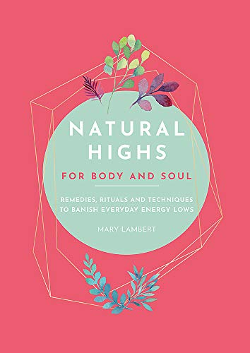 Imagen de archivo de Natural Highs: 70 Instant Energizers for Body and Soul a la venta por Jenson Books Inc