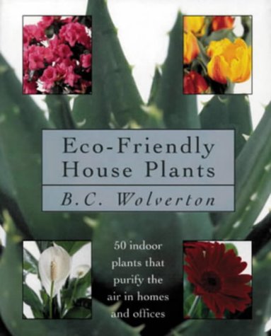Stock image for Eco-friendly Houseplants: 50 Indoor Plants That Purify the Air for sale by ThriftBooks-Dallas