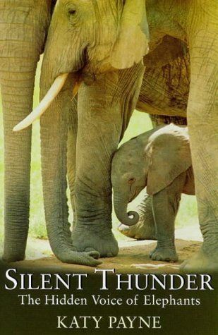 Imagen de archivo de Silent Thunder: The Hidden Voice Of Elephants a la venta por WorldofBooks