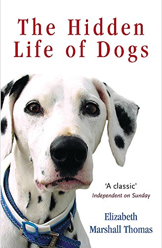 9780753817292: The Hidden Life Of Dogs LATEST