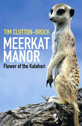 Beispielbild fr Meerkat Manor: Flower Of The Kalahari zum Verkauf von Reuseabook