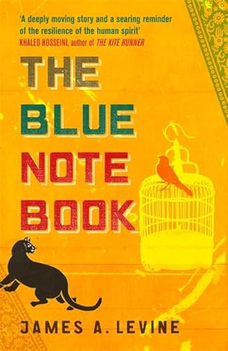 9780753826508: The Blue Notebook