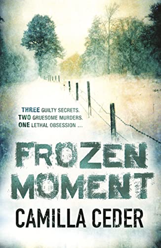 Stock image for Frozen Moment: 'A good psychological crime novel that will appeal to fans of Wallander and Stieg Larsson' CHOICE for sale by AwesomeBooks