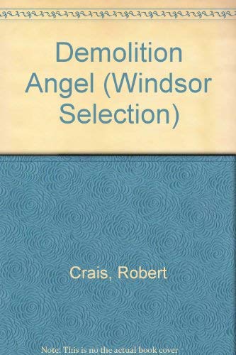 Demolition Angel (Windsor Selection)