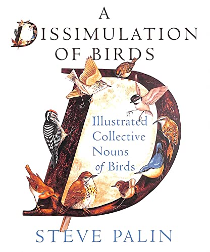 Stock image for A Dissimulation of Birds: Illustrated Collective Nouns of Birds for sale by AwesomeBooks