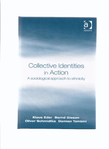 Stock image for Collective Identities in Action: A Sociological Approach for sale by Reuseabook